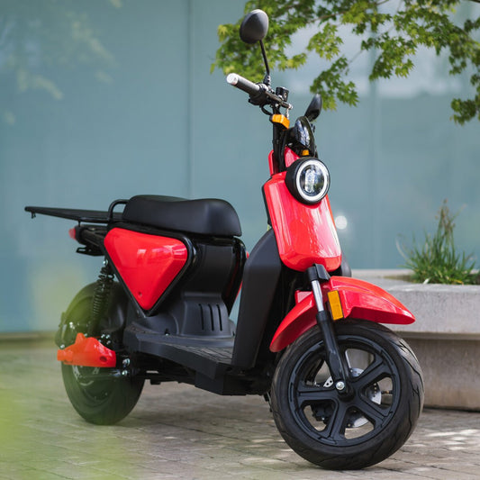 SmartWheels EVO 3000w Gris - Locos por las Motos