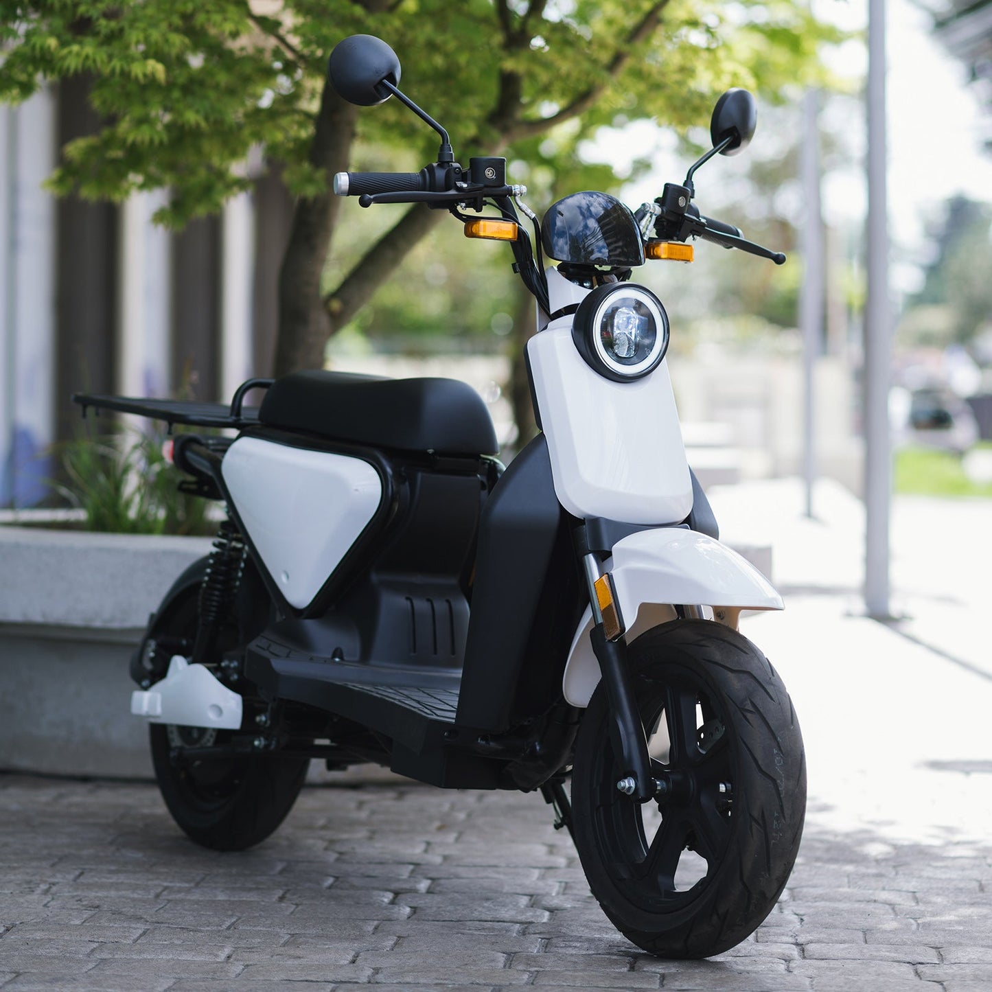 SmartWheels EVO 3000w Gris - Locos por las Motos