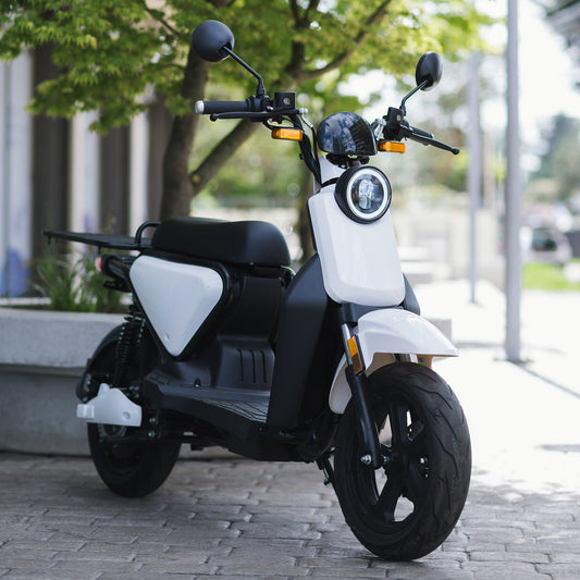 SmartWheels EVO 3000w Gris - Locos por las Motos