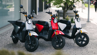 SmartWheels EVO 3000w Gris - Locos por las Motos